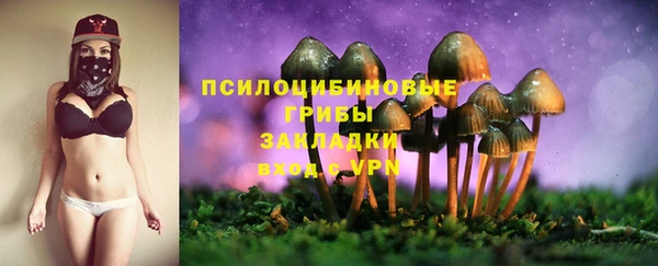 дмт Беломорск