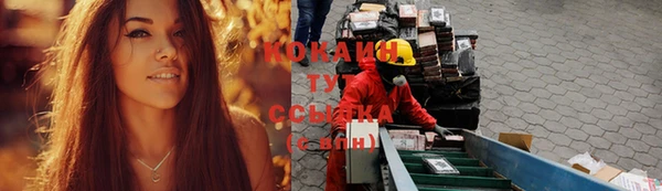 ПСИЛОЦИБИНОВЫЕ ГРИБЫ Белокуриха