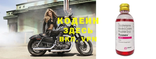 ПСИЛОЦИБИНОВЫЕ ГРИБЫ Белокуриха