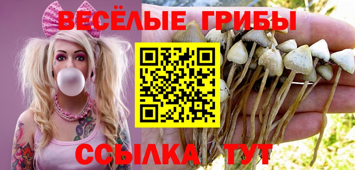 Псилоцибиновые грибы Magic Shrooms Горячий Ключ